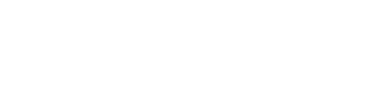 Diario Austral